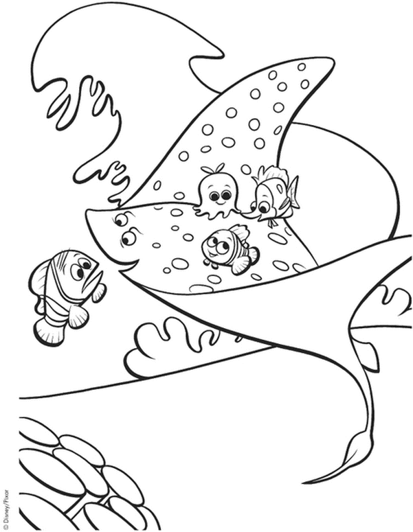 coloriage nemo et ses compagnons de classe